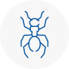 Ant Removals In Bodmin