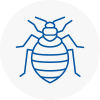 Bed Bug Extermination In Bodmin