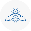 Bee Nest Removal Bodmin