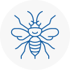 Bodmin Hornet Nest Removals