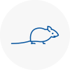 Mice Exterminators In Bodmin