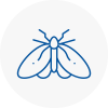 Moth Control Specialists In Bodmin