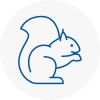 Bodmin Rodent Removals